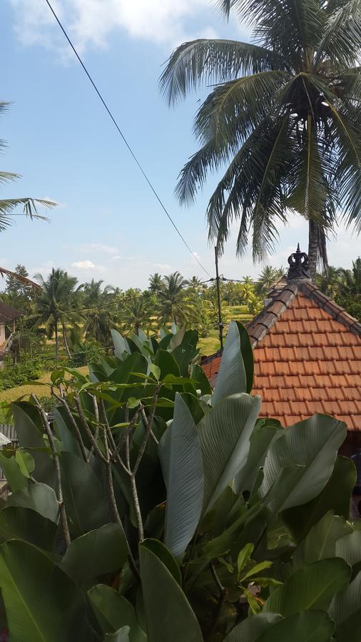 Villa Bungsil Gading أوبود المظهر الخارجي الصورة