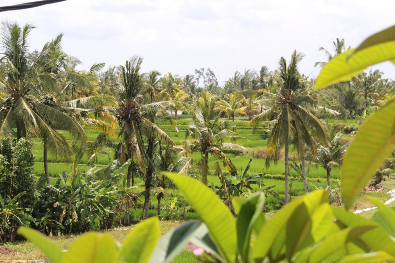 Villa Bungsil Gading أوبود المظهر الخارجي الصورة